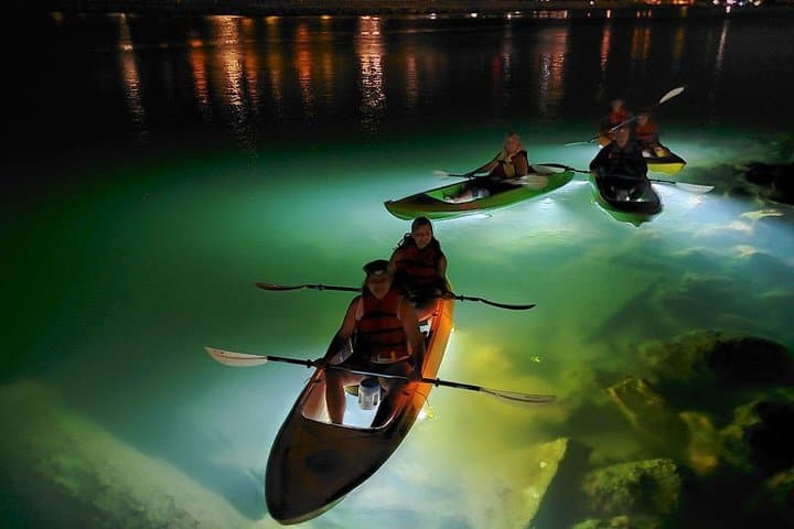 Glass-Bottom LED Kayak Night Tour in St. Pete Beach: Fish Feeding & Mangrove Bird Island