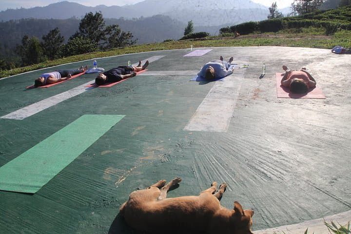 Ella Sunrise Yoga on Ella Rock: Hike, Sunrise Meditation & Ravana Falls photo 3