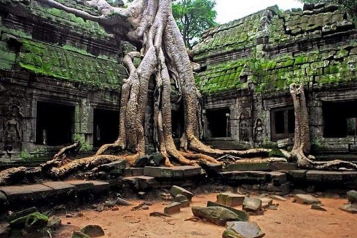 Private Full-Day Angkor Tour: Bayon, Ta Prohm, Angkor Wat & Sunset at Bakheng photo 2