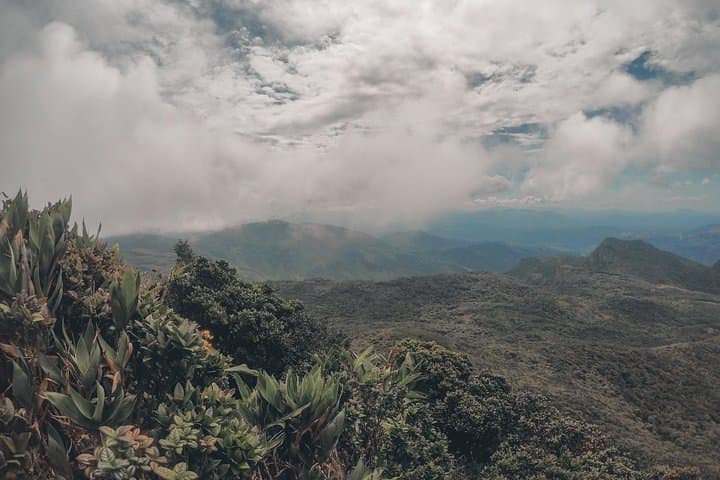 Knuckles Mountain Camping Tour from Kandy — 2-Day Trek & Overnight Base Camp photo 6