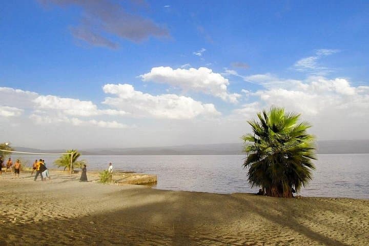 4-Day Langano & Awassa Lakes Tour — Swim, Birds and Senkelle Wildlife