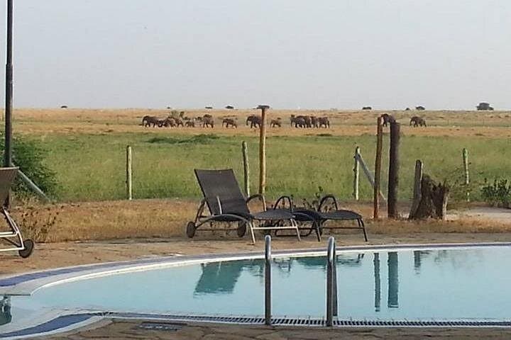 2-Day Tsavo East Safari from Diani Beach — Game Drives & Ashnil Aruba Camp photo 3