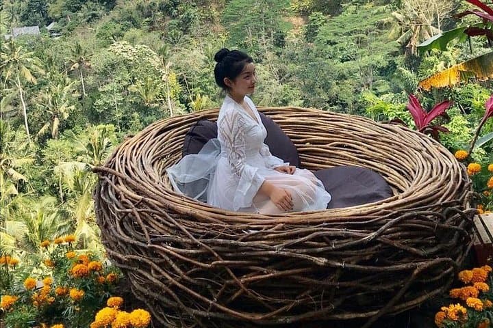 Ubud Jungle Swing & Ayung River Rafting: Bird Nest Photos, Buffet Lunch & Hotel Transfer photo 3