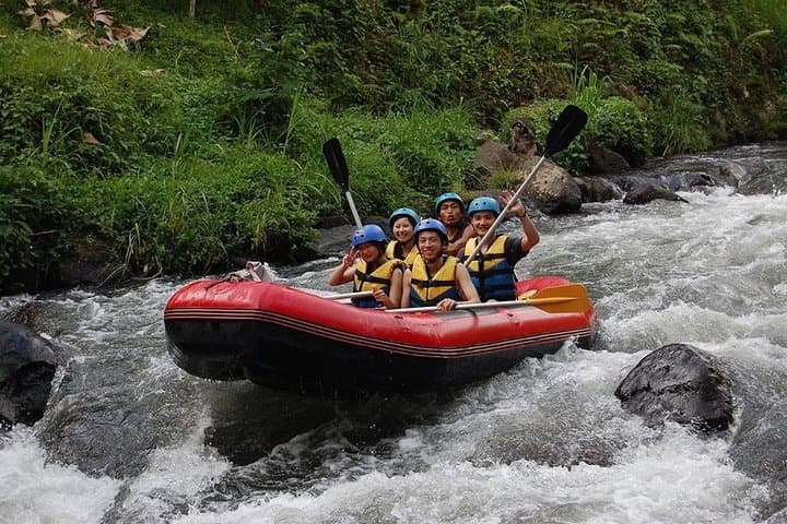 Ubud Jungle Swing & Ayung River Rafting: Bird Nest Photos, Buffet Lunch & Hotel Transfer photo 4