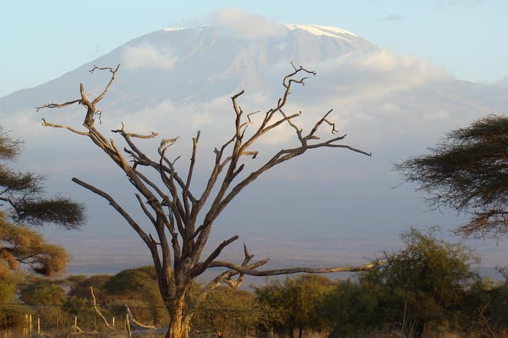 2-Day Amboseli Safari: Kilimanjaro Views and Wild Elephant Herds photo 6
