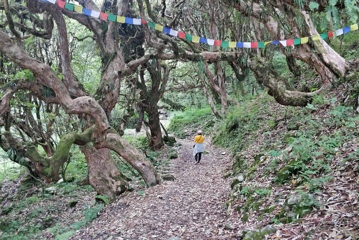 Poon Hill Ghorepani Trek: Multi-Day Annapurna Sunrise Trek from Pokhara photo 2