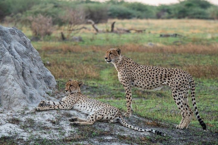 Self-Drive Namibia: 6-Day Etosha, Swakopmund & Sossusvlei Lodge Adventure