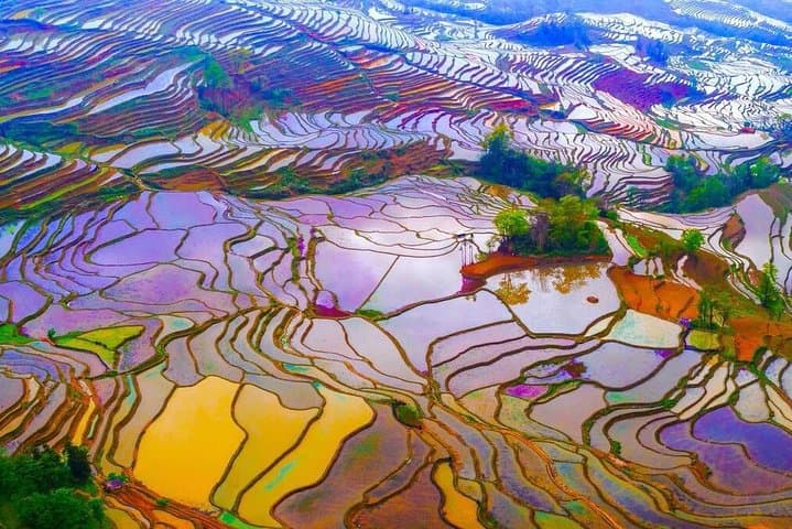 Yunnan 5-Day Private Tour: Kunming to Yuanyang Rice Terraces & Jianshui Heritage photo 1