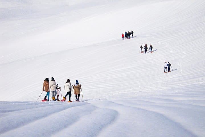 Snowshoeing the Great Mountain: Day Tour from Cluj-Napoca photo 6