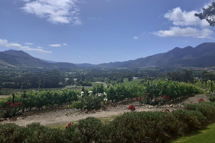 Cape Winelands Wine Tasting Full-Day Tour — Stellenbosch & Franschhoek photo 6