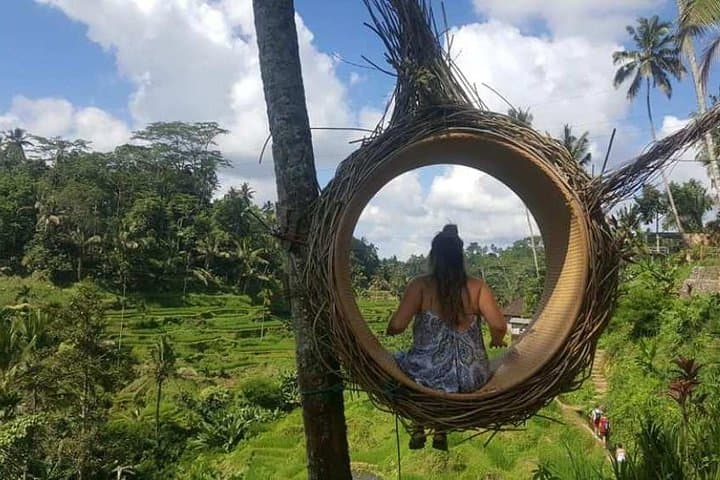 Ubud Rice Terraces, Bali Swing & Sacred Sites: Full-Day Tour from Ubud photo 3