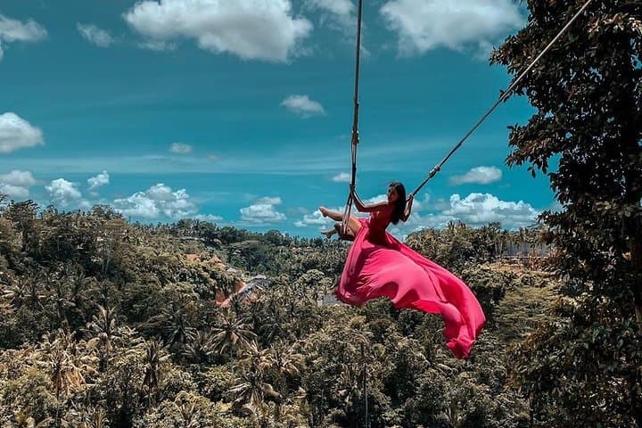 Ubud Rice Terraces, Bali Swing & Sacred Sites: Full-Day Tour from Ubud photo 6
