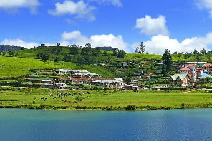 Nuwara Eliya Waterfall & Tea Factory Day Tour: Gregory Lake to Lovers' Leap photo 2