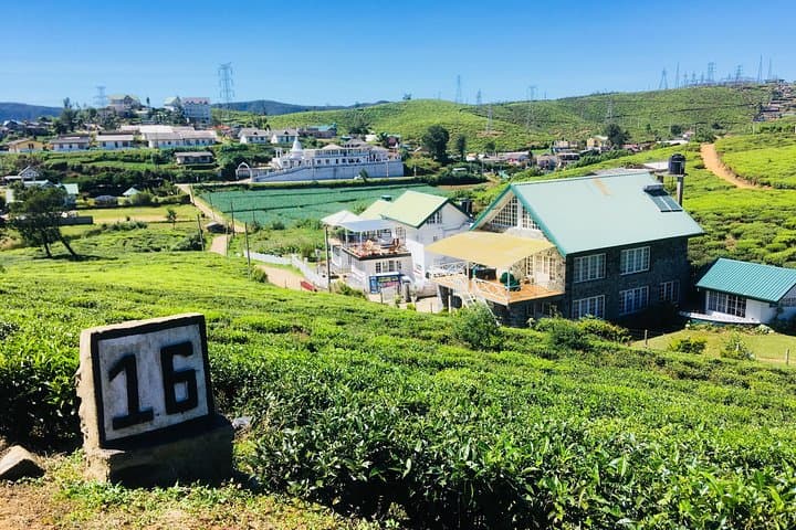 Nuwara Eliya Waterfall & Tea Factory Day Tour: Gregory Lake to Lovers' Leap photo 3