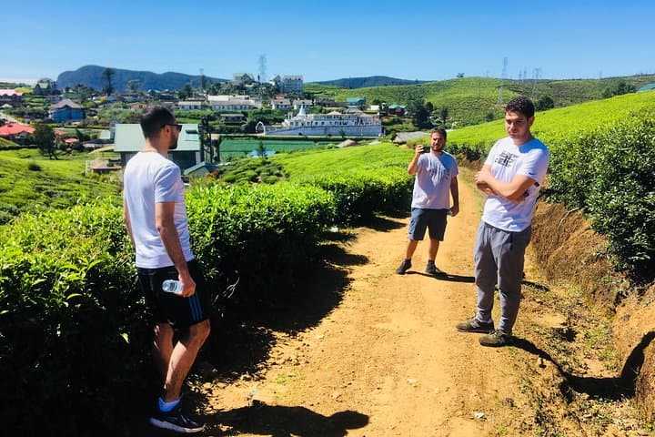 Nuwara Eliya Waterfall & Tea Factory Day Tour: Gregory Lake to Lovers' Leap photo 1