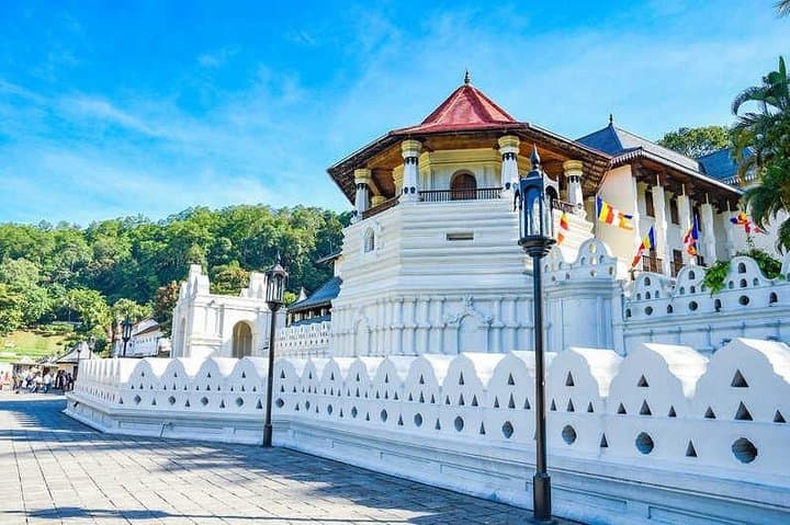 Kandy & Sigiriya 3-Day Private Tour from Hikkaduwa: Temple, Rock Fortress & Elephant Safari photo 2