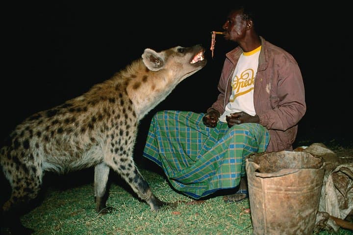 3-Day Harar and Dire Dawa Tour: Explore Harar Jugol, Rimbaud House & Hyena Feeding