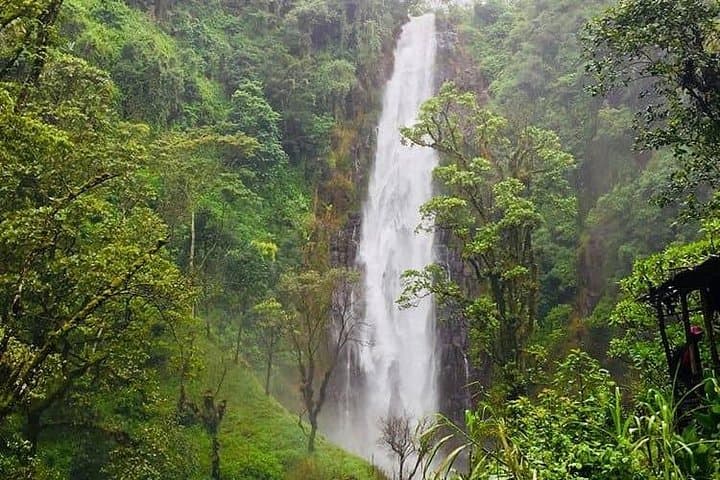 Mount Meru Waterfall Hike from Arusha — Day Trip to the Cascades