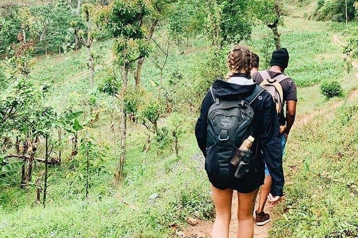 Mount Meru Waterfall Hike from Arusha — Day Trip to the Cascades photo 4