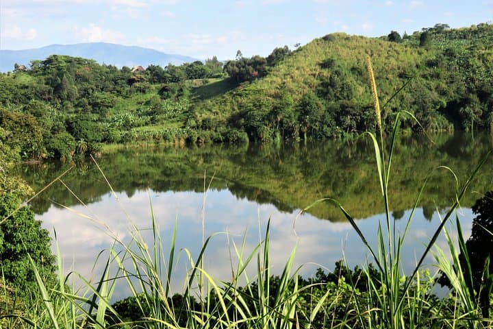 Kibale National Park 3-Day Chimpanzee Trekking Safari — Kanyanchu & Bigodi photo 6