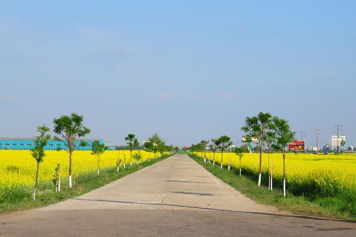 100 km Road Ride Near Bucharest — Guided Route Through Villages and Palaces photo 6