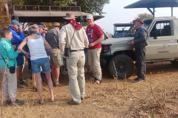 Chobe National Park 9-Hour Full-Day Game Drive — Kasane Safari Experience