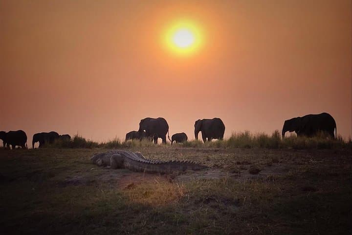 Chobe National Park 9-Hour Full-Day Game Drive — Kasane Safari Experience photo 4
