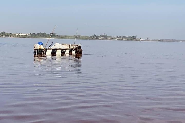 Bandia Park and Pink Lake Day Tour: Wildlife Safari and Lac Rose from Dakar photo 4