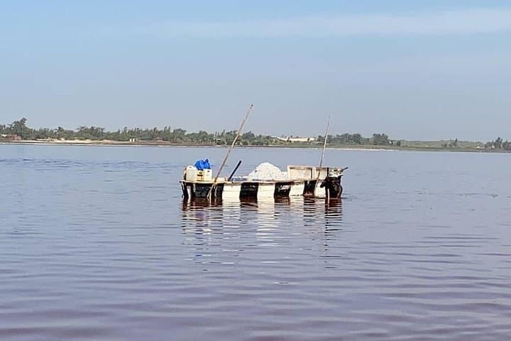Bandia Park and Pink Lake Day Tour: Wildlife Safari and Lac Rose from Dakar photo 5