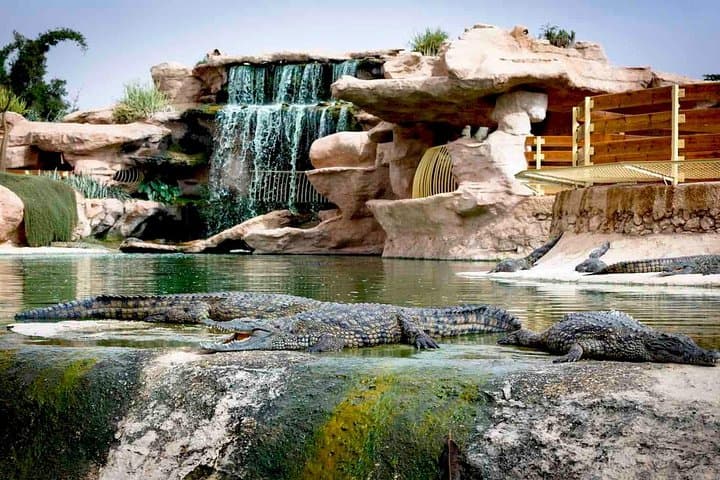 Crocoparc Agadir: Crocodile Park Visit with Transport Included photo 2