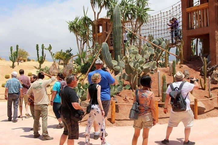 Crocoparc Agadir: Crocodile Park Visit with Transport Included photo 4