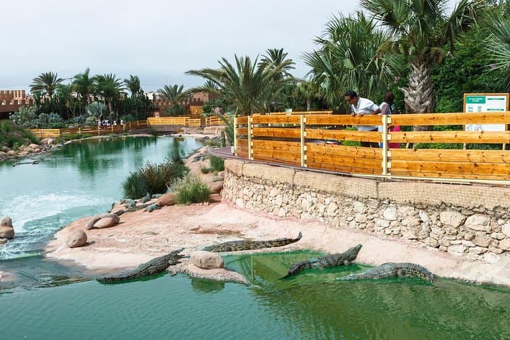 Crocoparc Agadir: Crocodile Park Visit with Transport Included photo 6