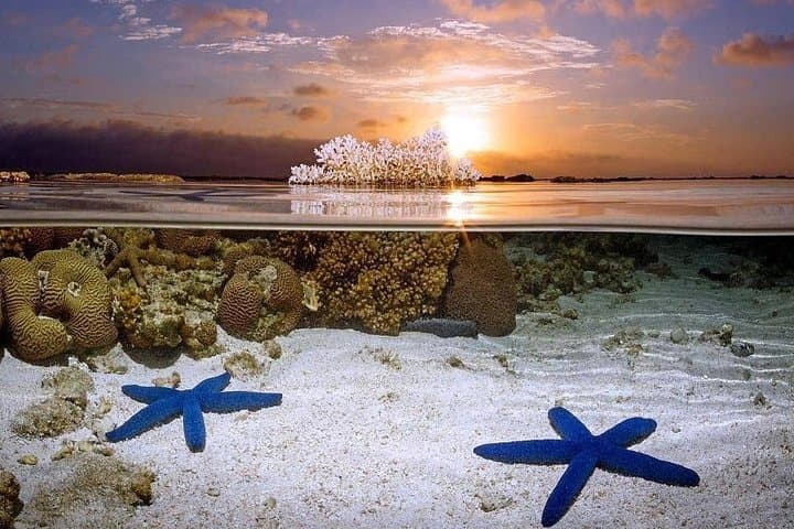 Bunaken Island Three-Point Snorkel: Marine Park Day Trip from Manado