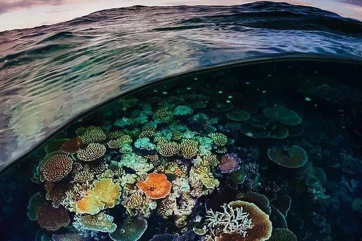Bunaken Island Three-Point Snorkel: Marine Park Day Trip from Manado photo 4