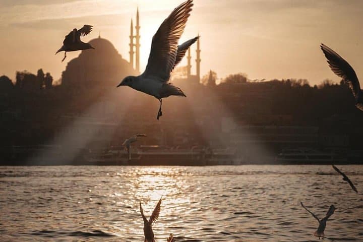 Istanbul Bosphorus Dinner Cruise for Transit Passengers (IST Pickup) photo 6