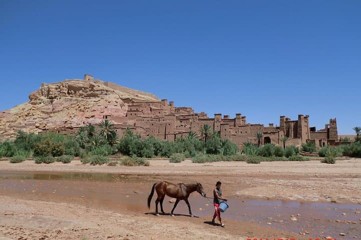 Fez to Marrakech 4-Day Desert Tour: Merzouga Dunes, Todra Gorge & Ait Ben Haddou photo 4