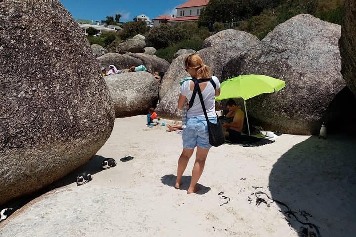 Cape Peninsula Coastal Drive and Boulders Beach Penguins photo 3