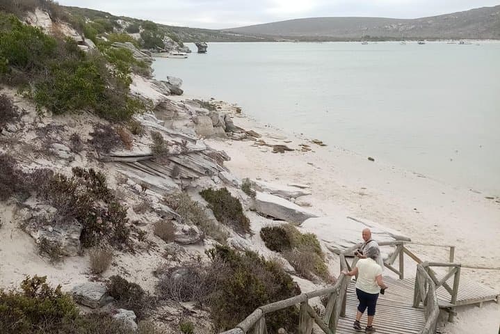 Cape Peninsula Coastal Drive and Boulders Beach Penguins photo 4