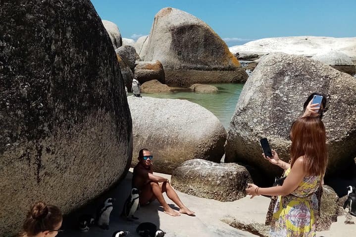 Cape Peninsula Coastal Drive and Boulders Beach Penguins photo 6