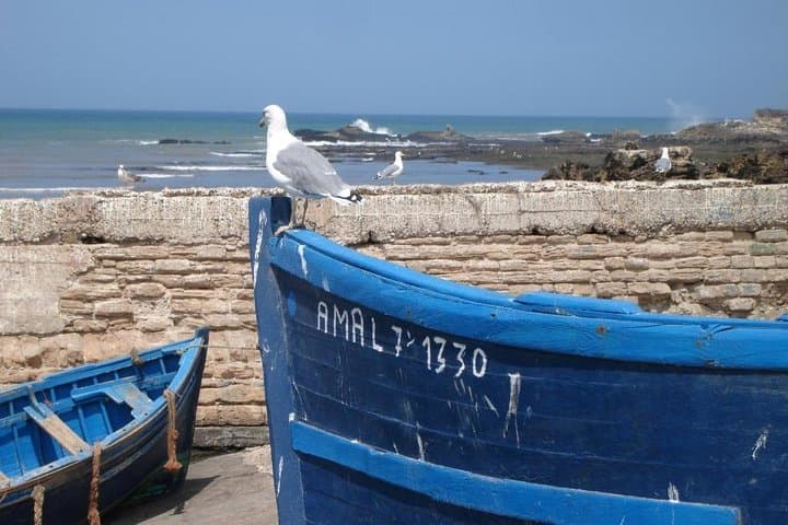 Essaouira Day Trip from Marrakech: Mogador Old Medina & Atlantic Coast photo 2