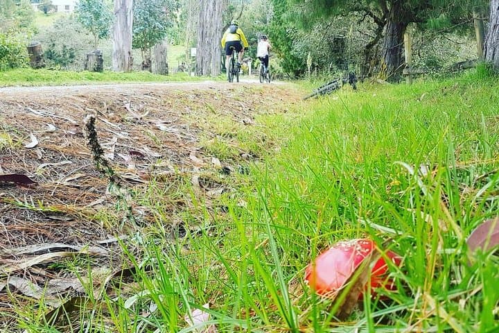 Sisga Dam Bike Tour: Scenic Cycling Loop Near Bogotá photo 6