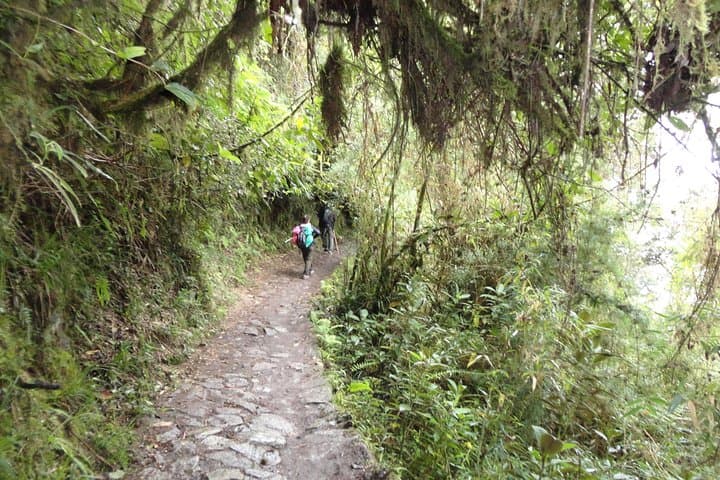 Inca Trail 2-Day Express: Hike Km 104 to Machu Picchu photo 2