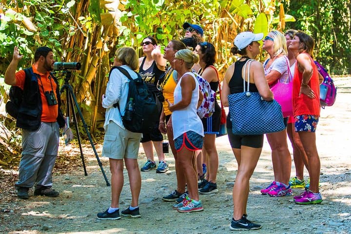 Manuel Antonio National Park Private Day Tour from Jacó — Beaches, Monkeys & Guided Trails photo 2