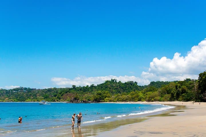 Manuel Antonio National Park Private Day Tour from Jacó — Beaches, Monkeys & Guided Trails photo 4