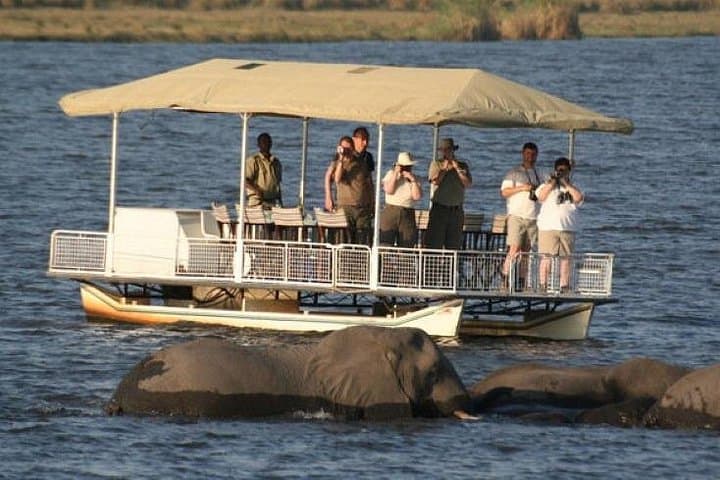 Chobe Full Day Safari: Game Drive and Sunset Cruise from Victoria Falls