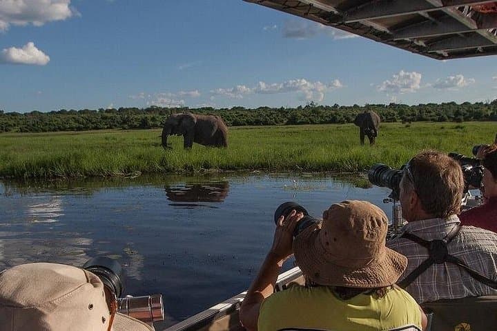 Chobe Full Day Safari: Game Drive and Sunset Cruise from Victoria Falls photo 2