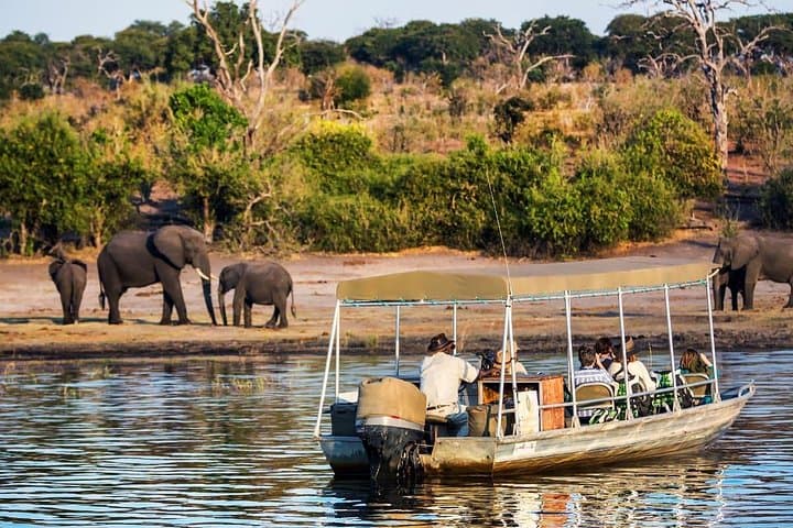 Chobe Full Day Safari: Game Drive and Sunset Cruise from Victoria Falls photo 4