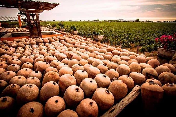 Ica Winery and Pisco Distillery Tour — Tacama, El Arrabal & Bodega Nietto photo 4