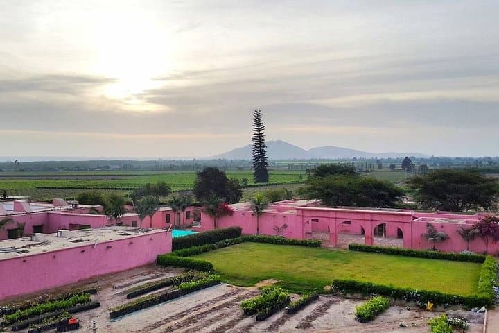 Ica Winery and Pisco Distillery Tour — Tacama, El Arrabal & Bodega Nietto photo 6