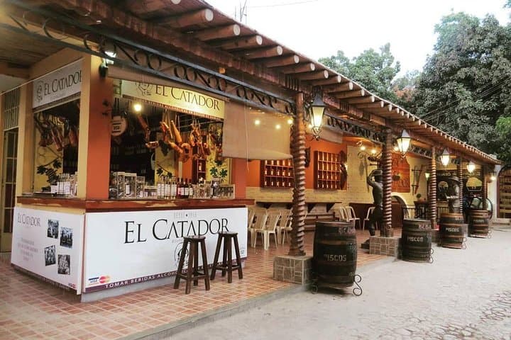 Ica Winery and Pisco Distillery Tour — Tacama, El Arrabal & Bodega Nietto photo 3